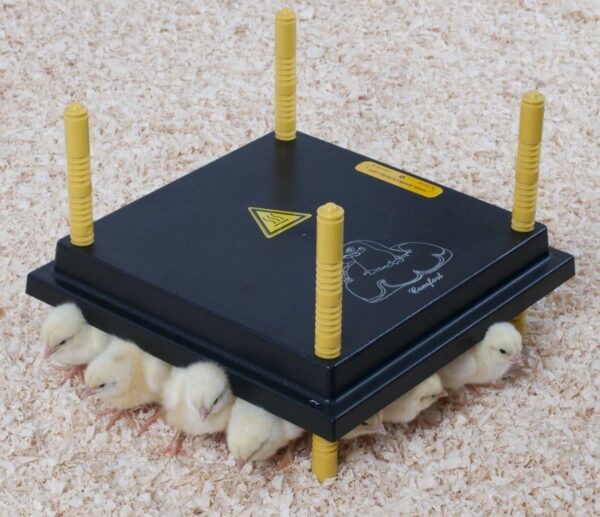 Comfort Wärmeplatte 25x25cm für Küken, 15W/ 220-240V